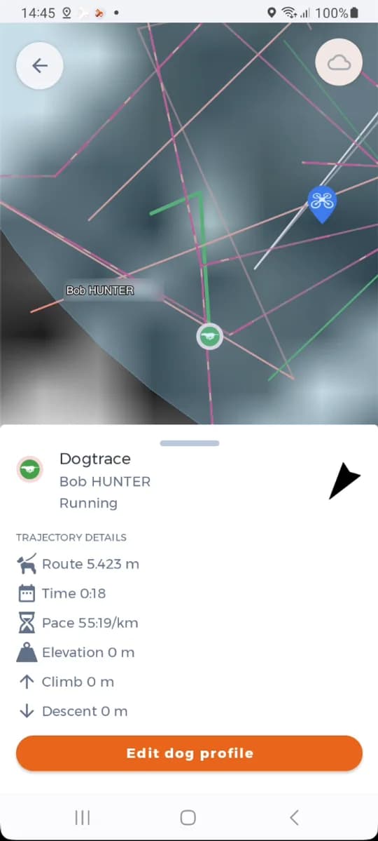 La ficha del perro con su estado y los detalles del recorrido.