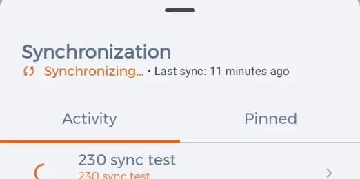 El panel de sincronización con el avance de la descarga y la hora de la última ejecución.